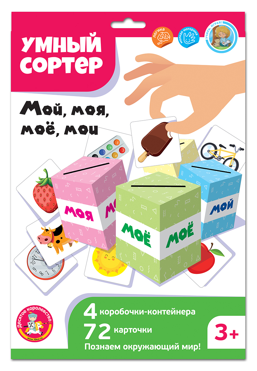 Дидактическая игра сортер Мой, моя, моё, мои