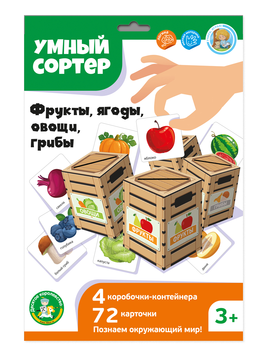Дидактическая игра сортер Фрукты, ягоды, овощи, грибы
