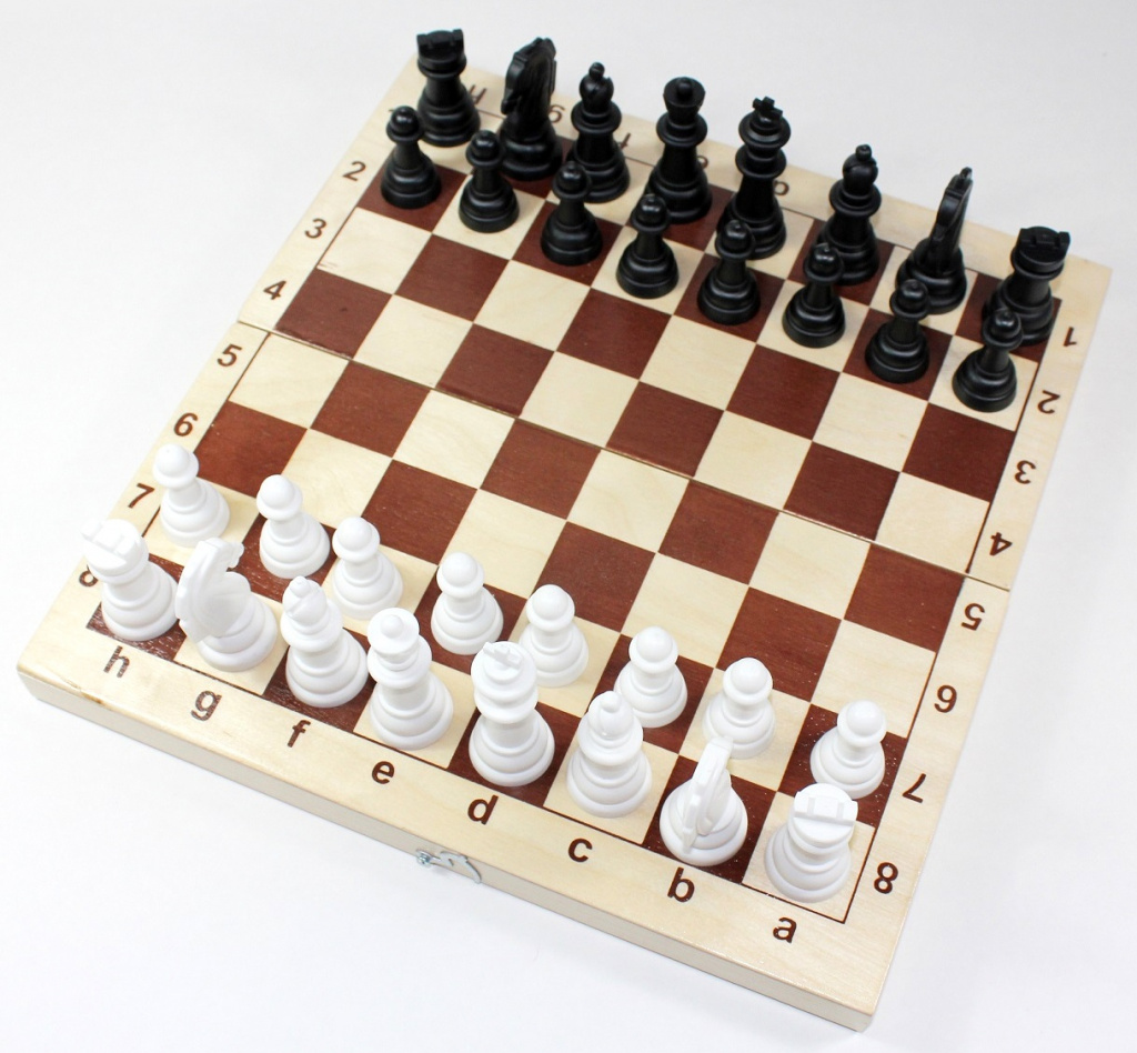 Шахматы и шашки (пластмассовые)
