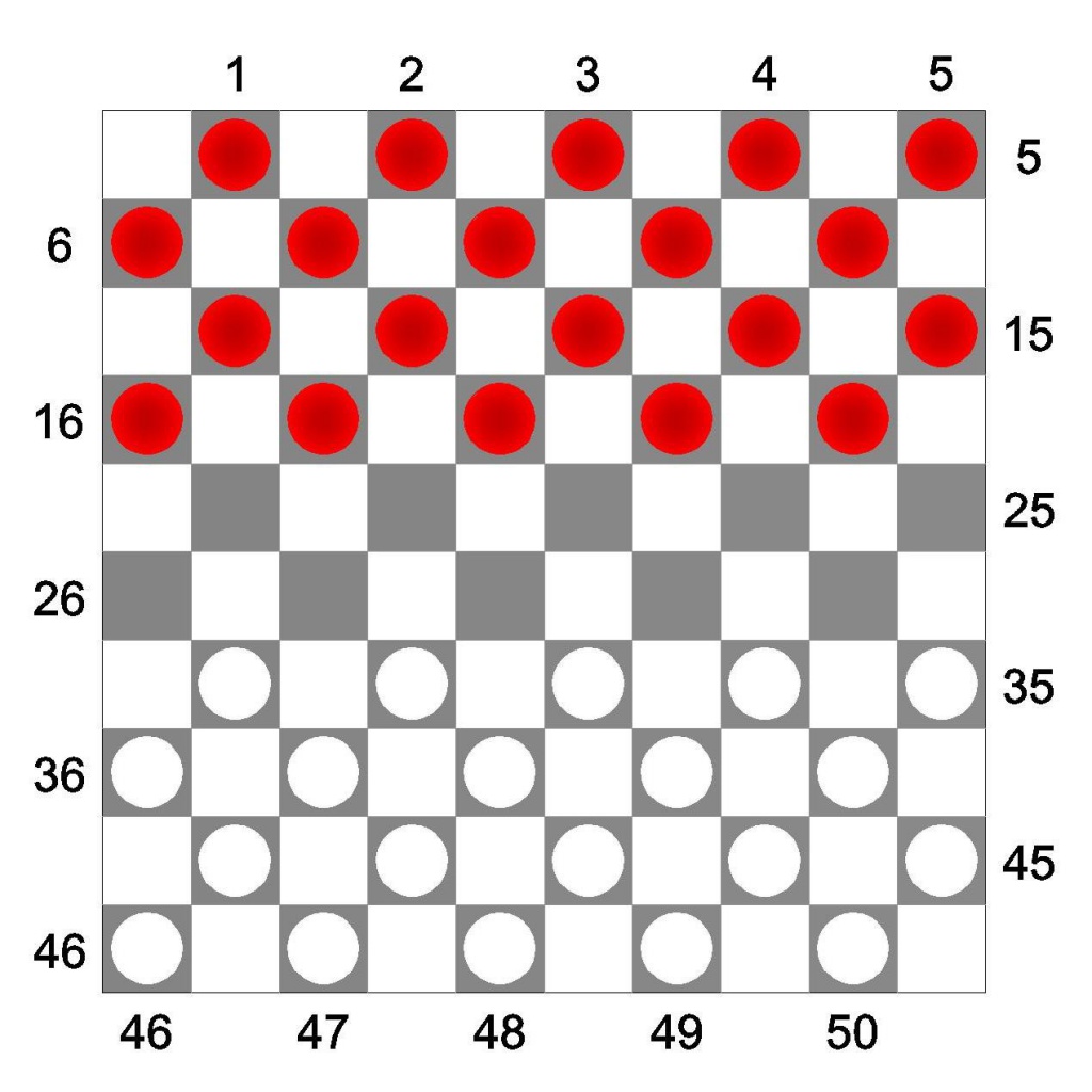 Международные шашки, расстановка на поле