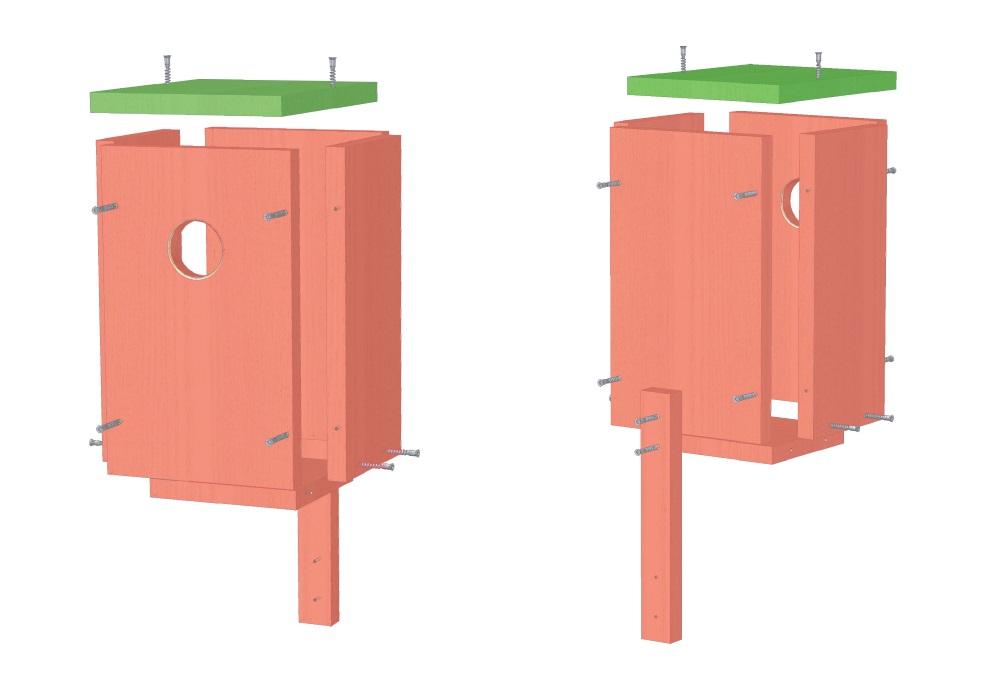 сборка скворечника крашеного